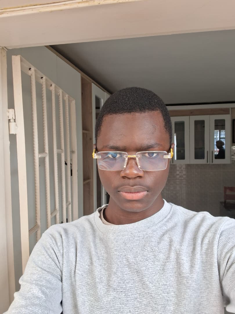 Tendo, web developer